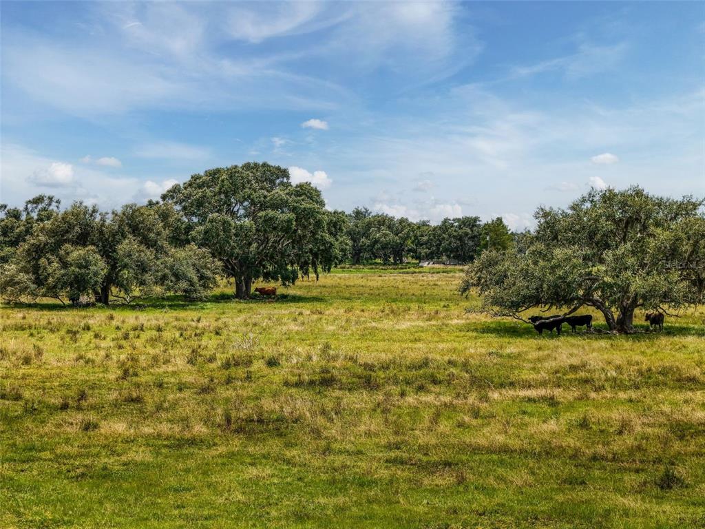 Myakka City, Florida, 34251, United States, ,Land,For Sale,1908306