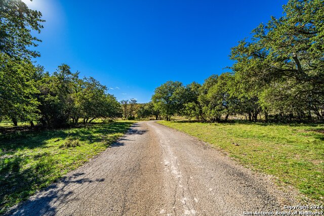 342 Mealy Sage Rd, Harper, Texas, 78631, United States, 4 Bedrooms Bedrooms, ,2 BathroomsBathrooms,Residential,For Sale,342 Mealy Sage Rd,1463716