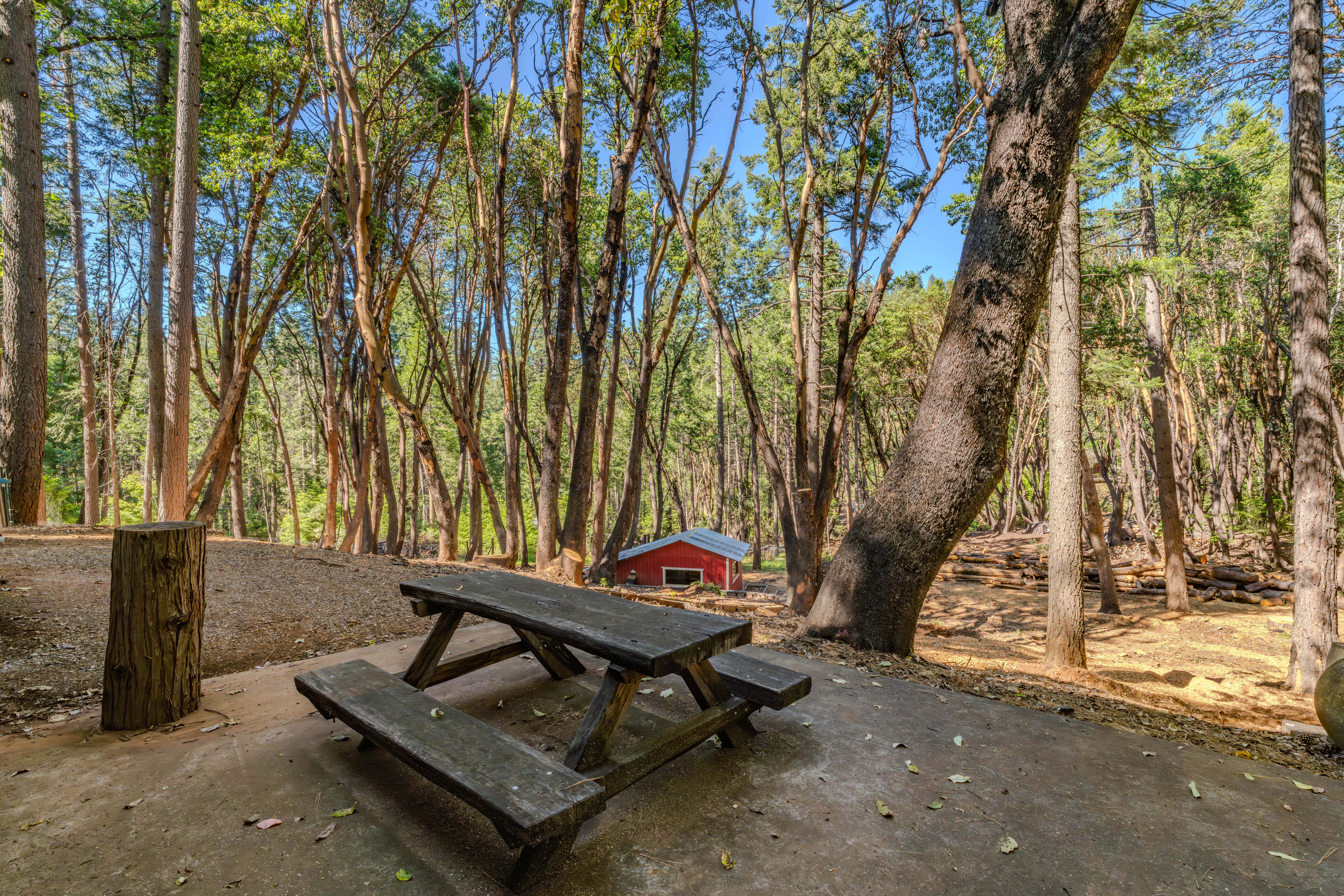 18844 Inspiration Drive West, Pioneer, CA 95666 - 物件實景
