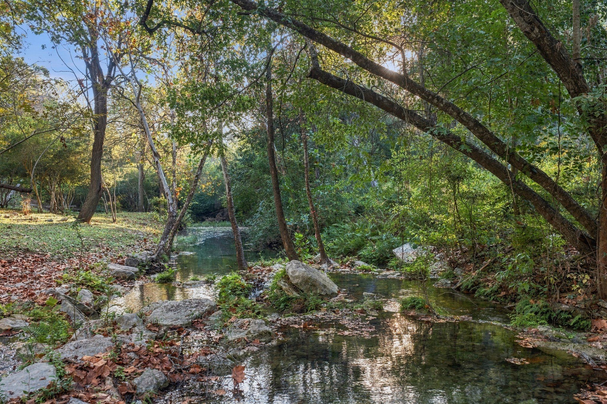  Private acreage in The Estates of Barton Creek - 物件實景