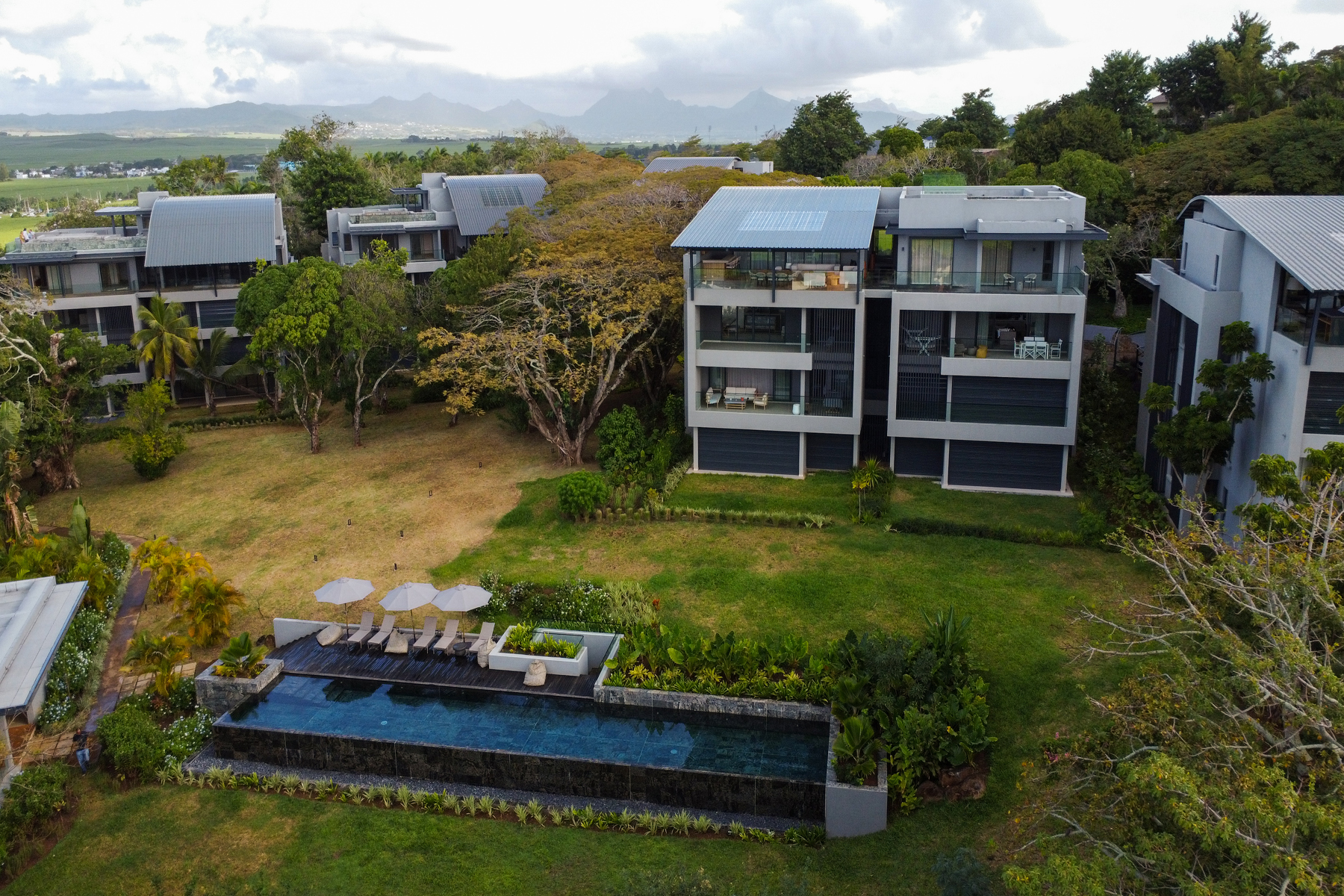  The Treetop Penthouse - 物件實景