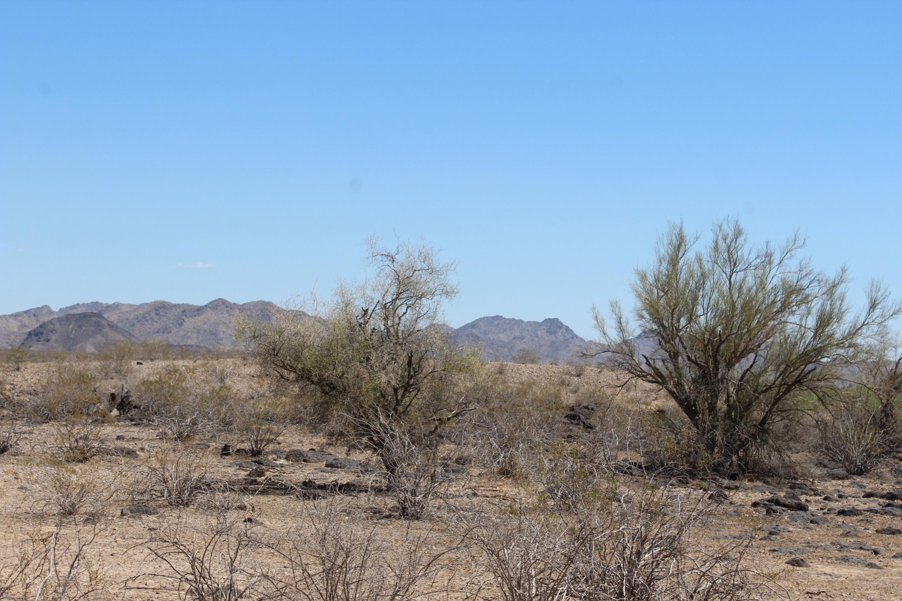  11 S 337th Avenue, Arlington, AZ, 85322 - 物件實景