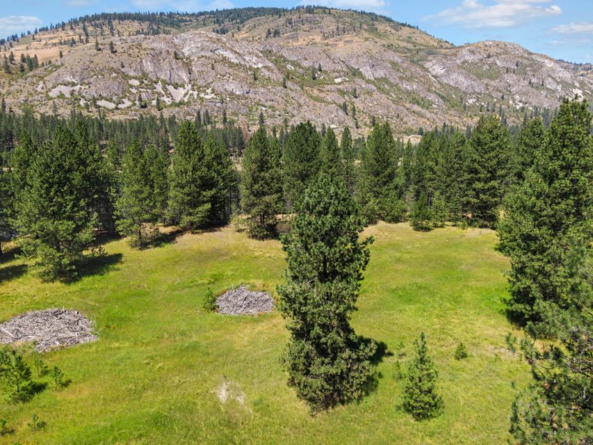 Northport, Washington, 99157, United States, ,Land,For Sale,1982244