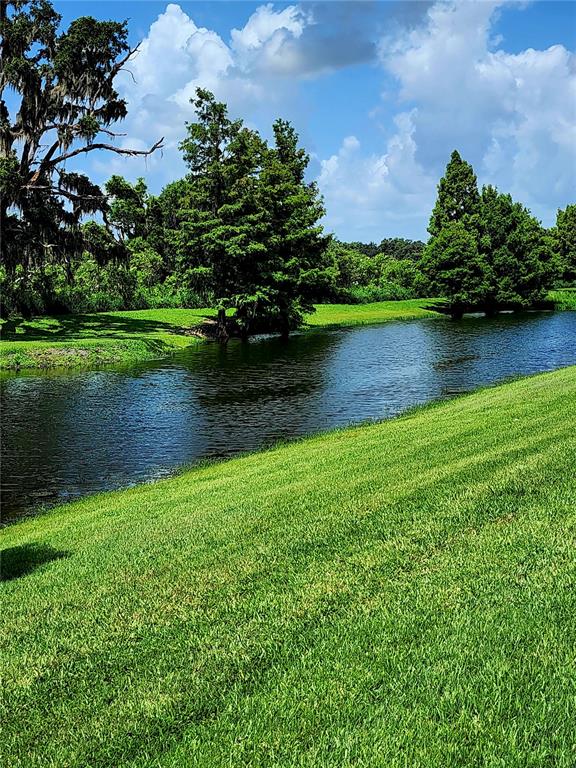 Winter Garden, Florida, 34787, United States, 5 Bedrooms Bedrooms, ,4 BathroomsBathrooms,Residential,For Sale,1868567