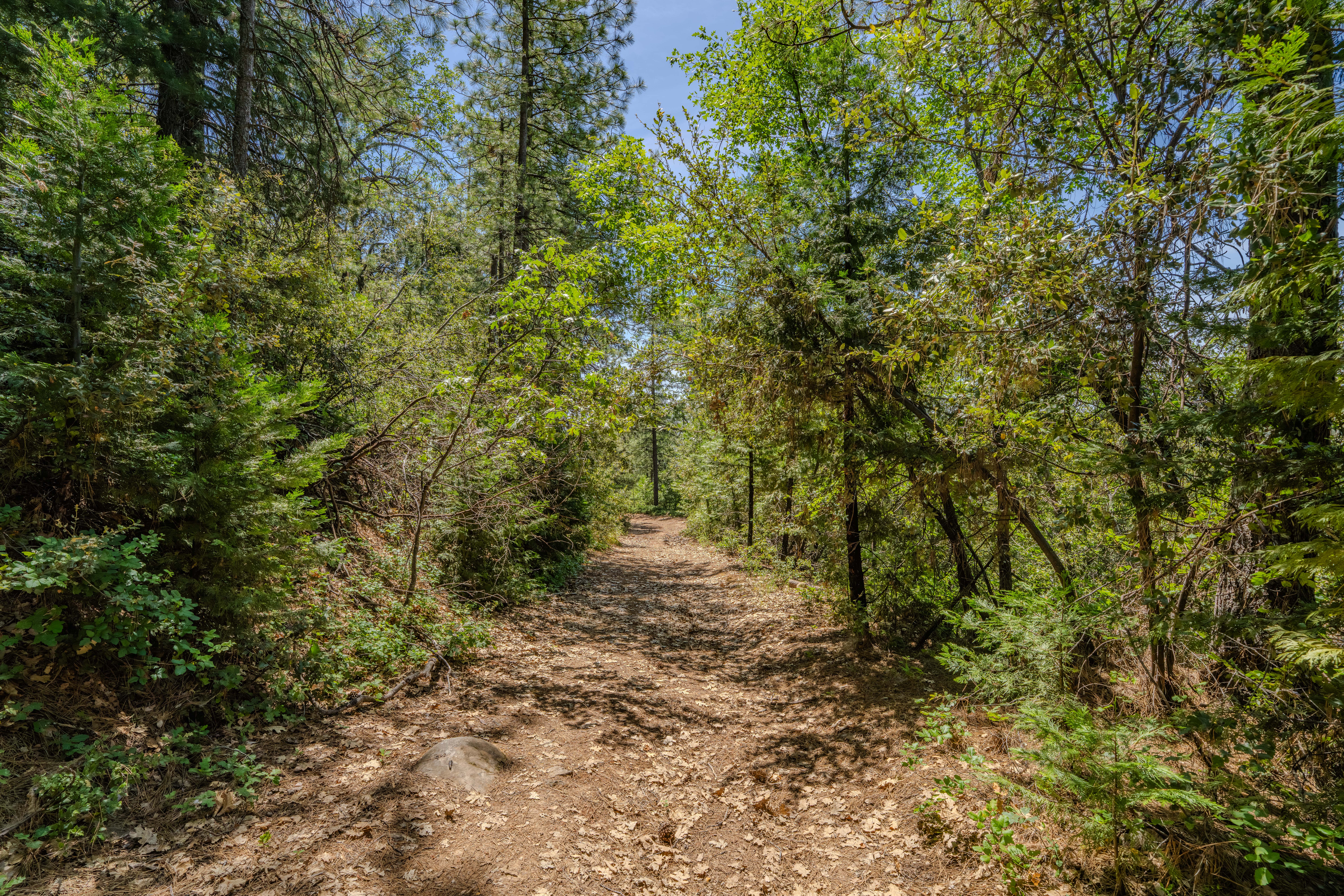  24100 Canterbury Road, Pioneer, CA 95666 - 物件實景