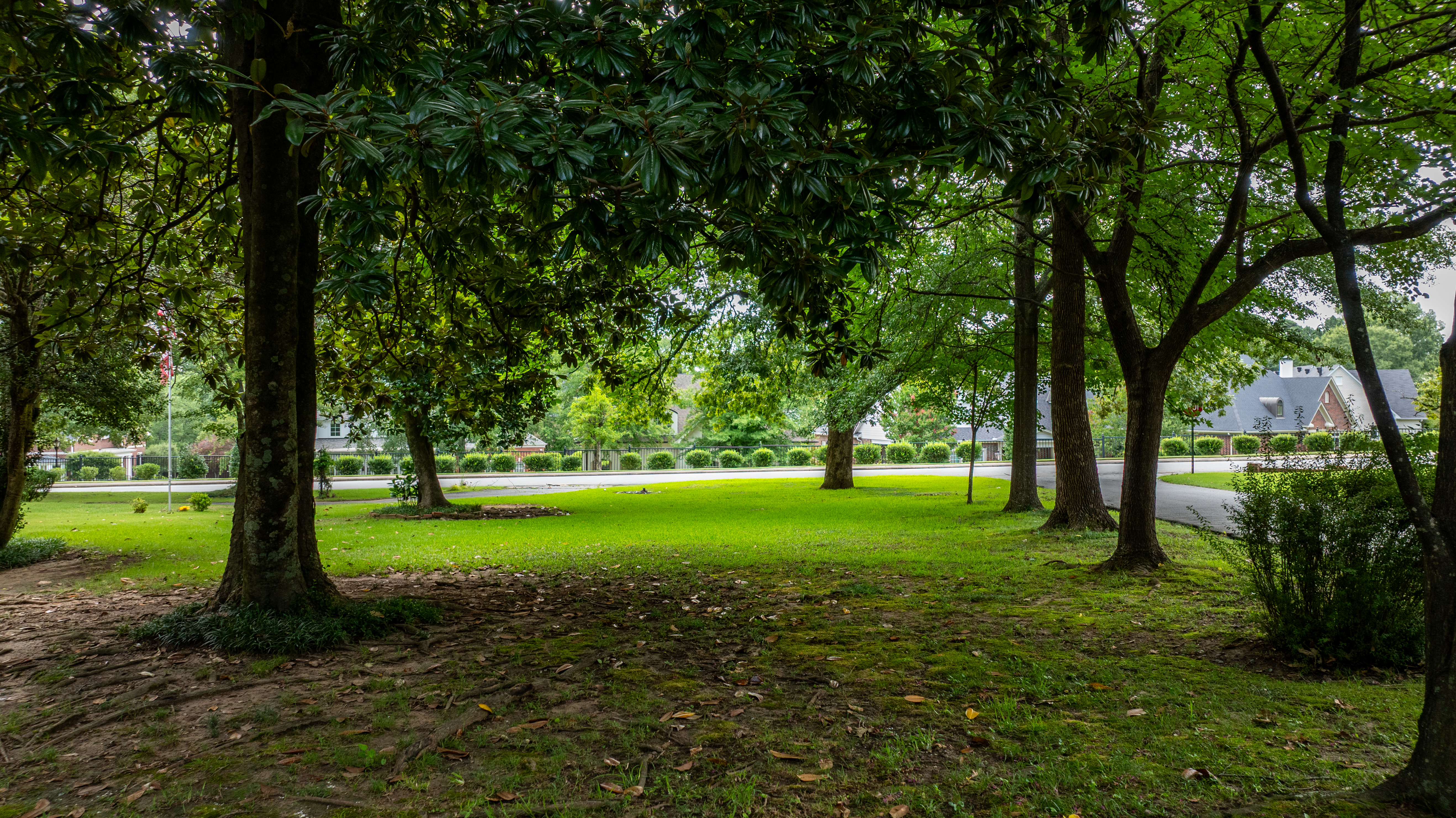  2500 N Taylor St, Little Rock, AR, 72207 - 物件實景