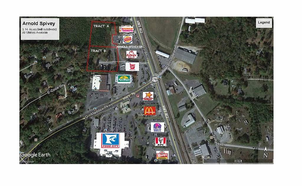 CHATSWORTH, Georgia, 30705, United States, ,Residential,For Sale,1850244