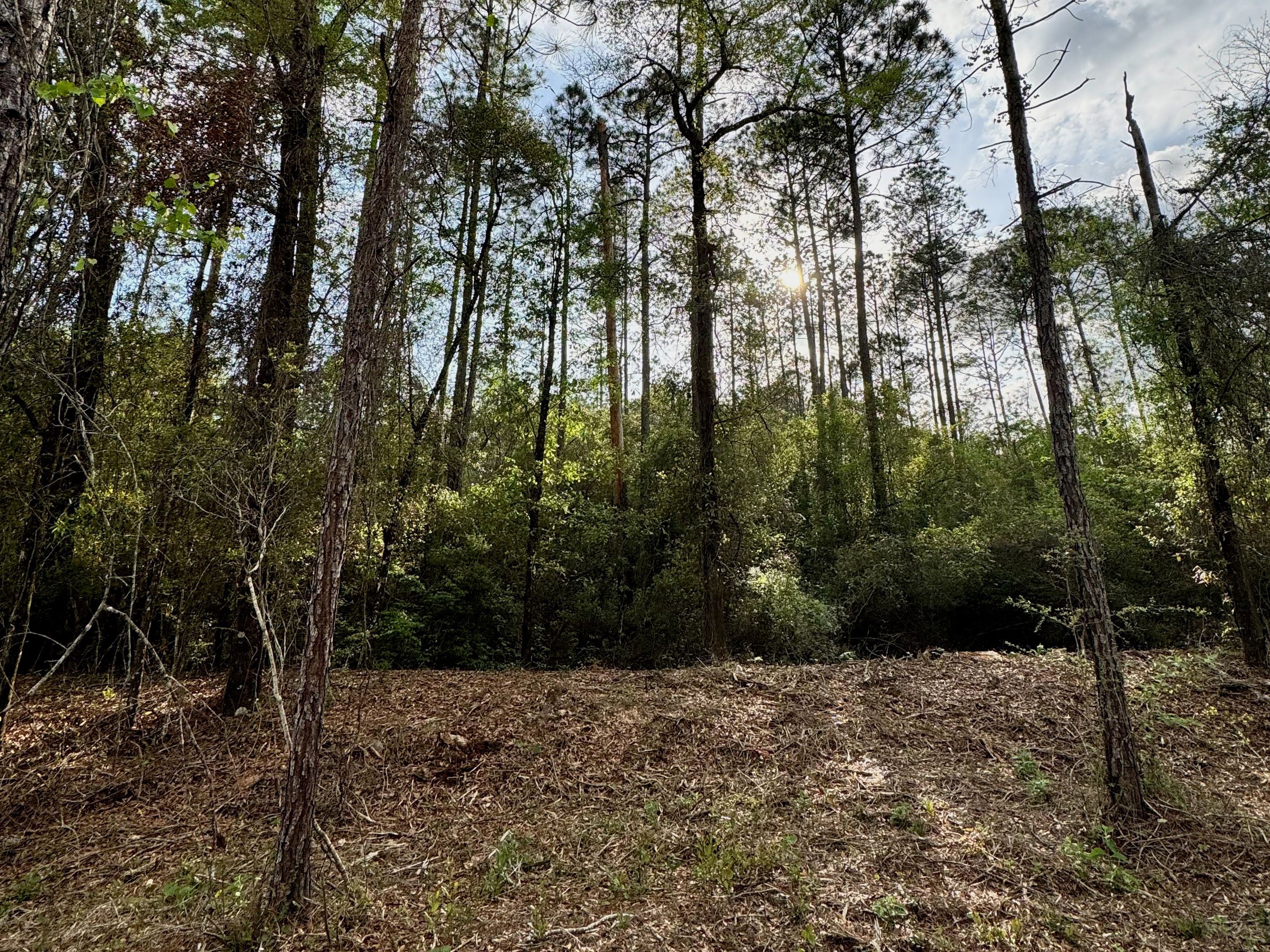  Creekside Estate Homesite  14.88 Acres - 物件實景