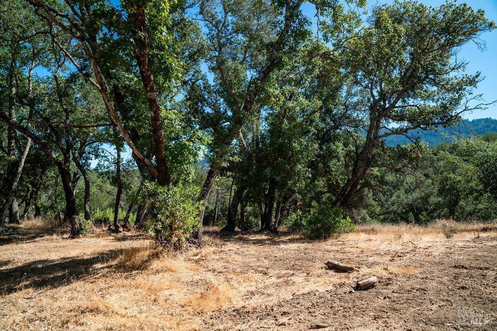 St. Helena, California, 94574, United States, ,Residential,For Sale,1846631