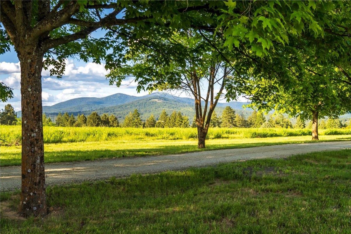 Mead, Washington, 99021, United States, ,Land,For Sale,1977316