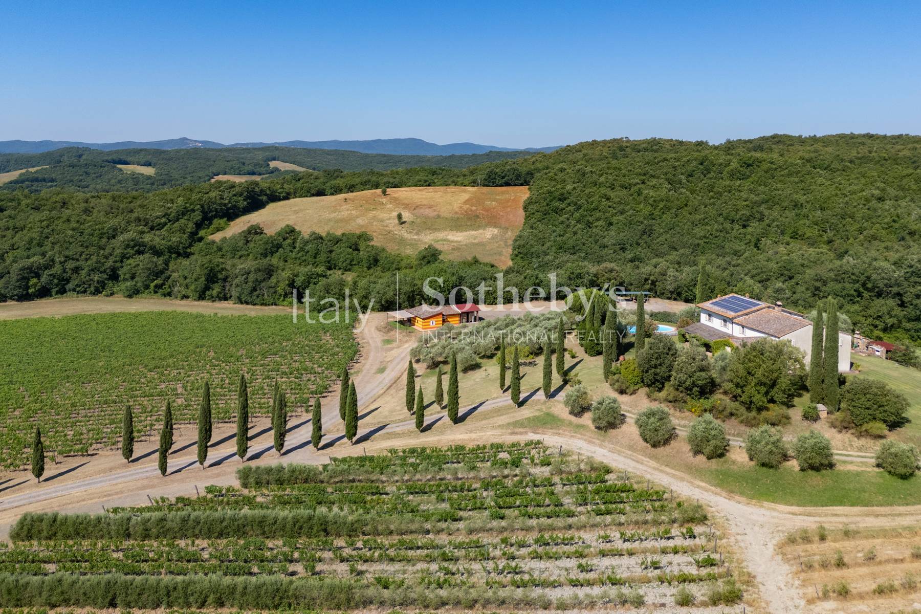  Tuscan estate with vineyards and winery - 物件實景