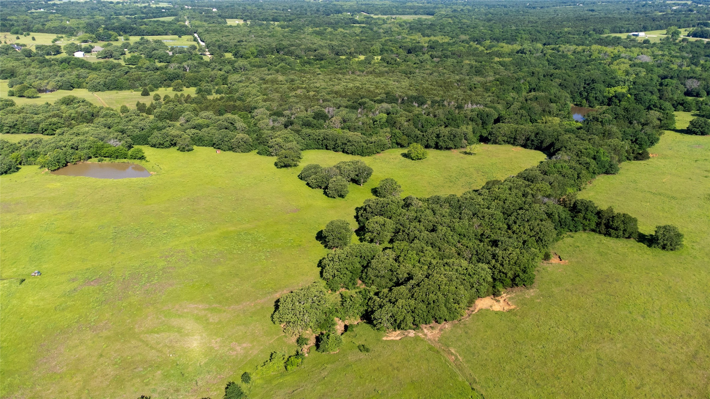 Sadler, Texas, 76264, United States, ,Land,For Sale,1837426