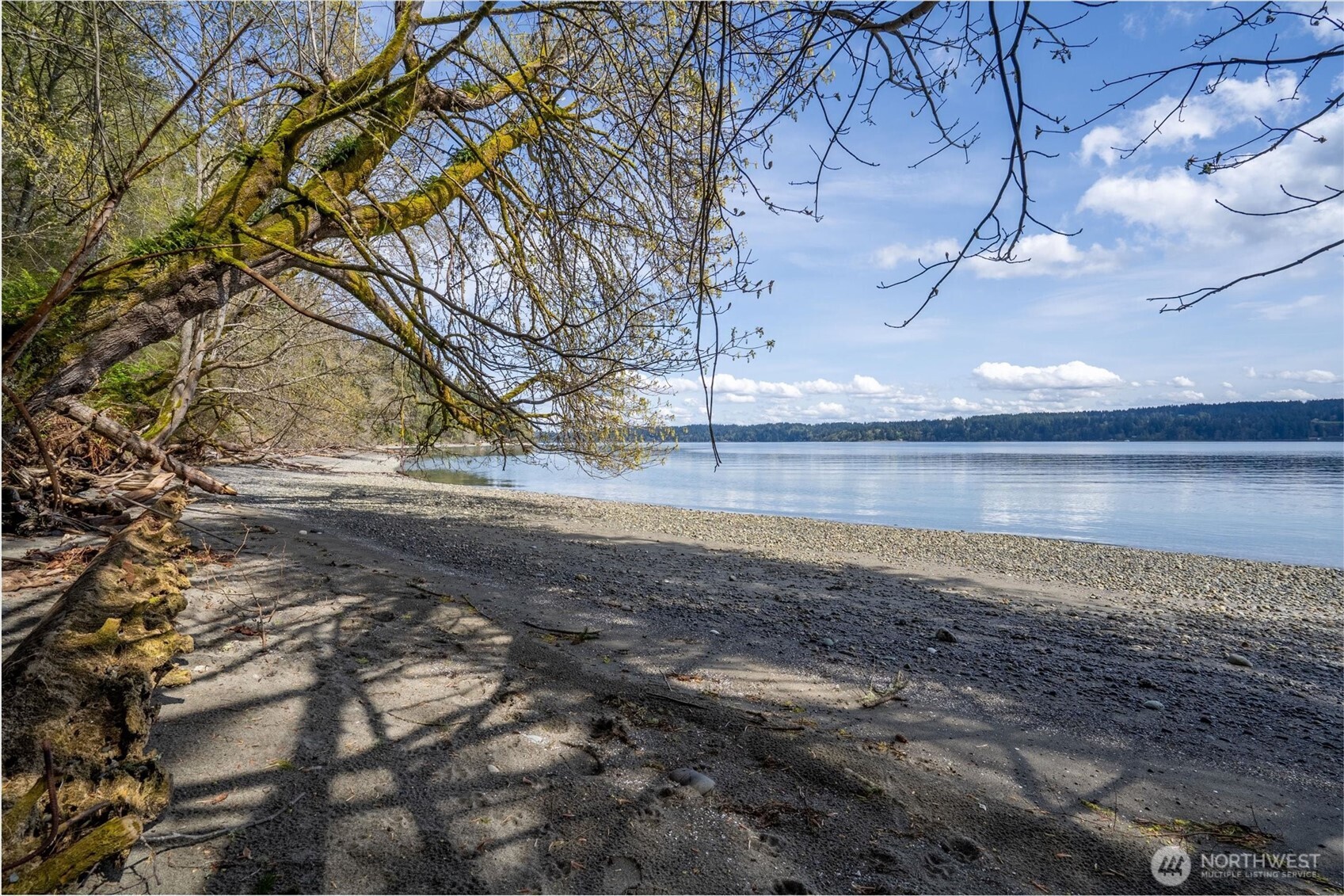Port Orchard, Washington, 98367, United States, ,Land,For Sale,1767401