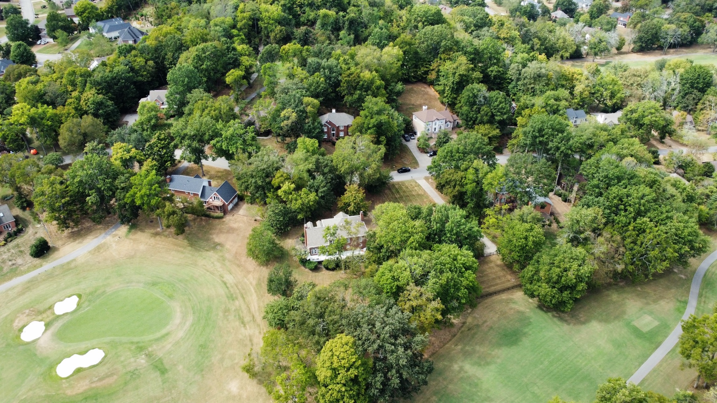  156 North Berwick Lane, Franklin, TN 37069 - 物件實景