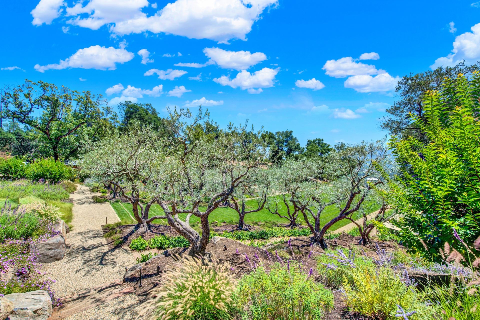  Exceptional Napa Valley Estate Set On 40 Private Acres - 物件實景
