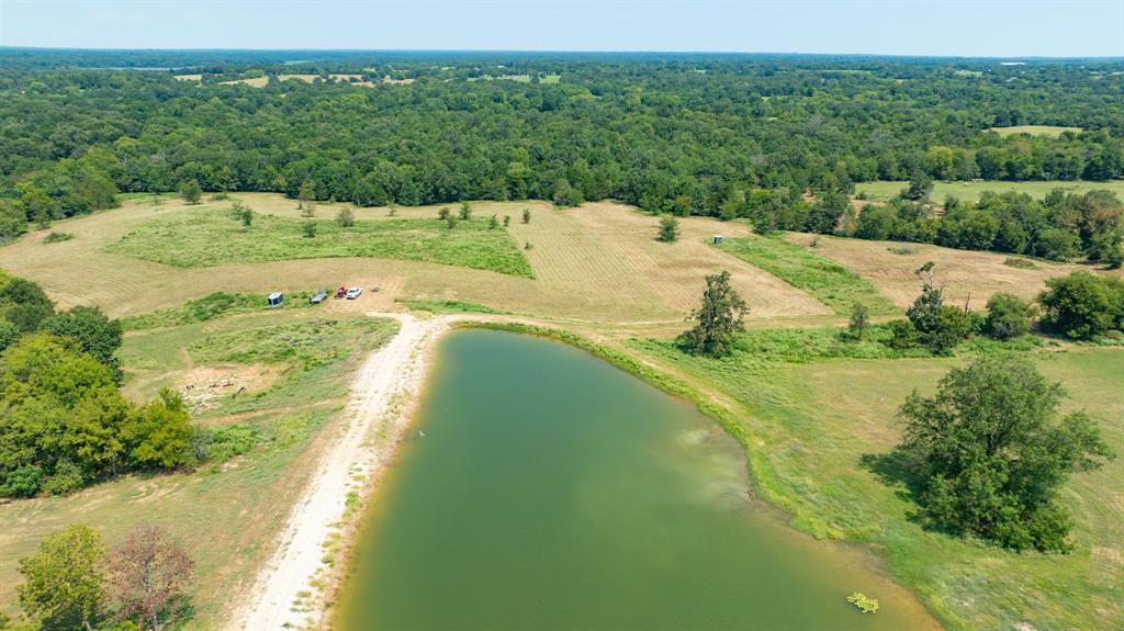 Yantis, Texas, 75497, United States, ,Land,For Sale,1917714