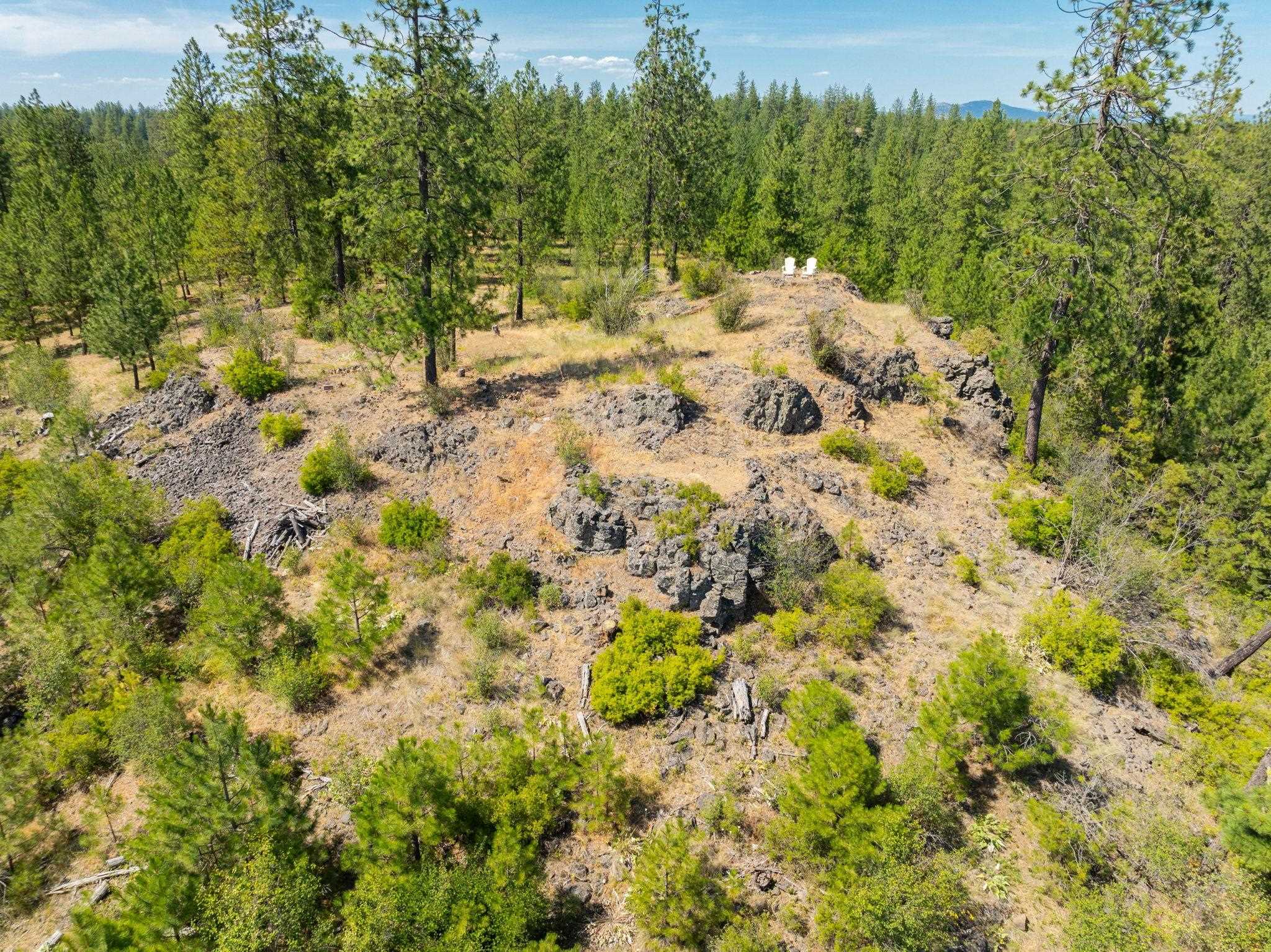 Nine Mile Falls, Washington, 99026, United States, ,Land,For Sale,1960887