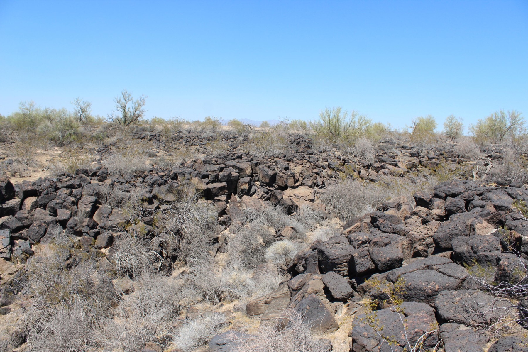  11 S 337th Avenue, Arlington, AZ, 85322 - 物件實景