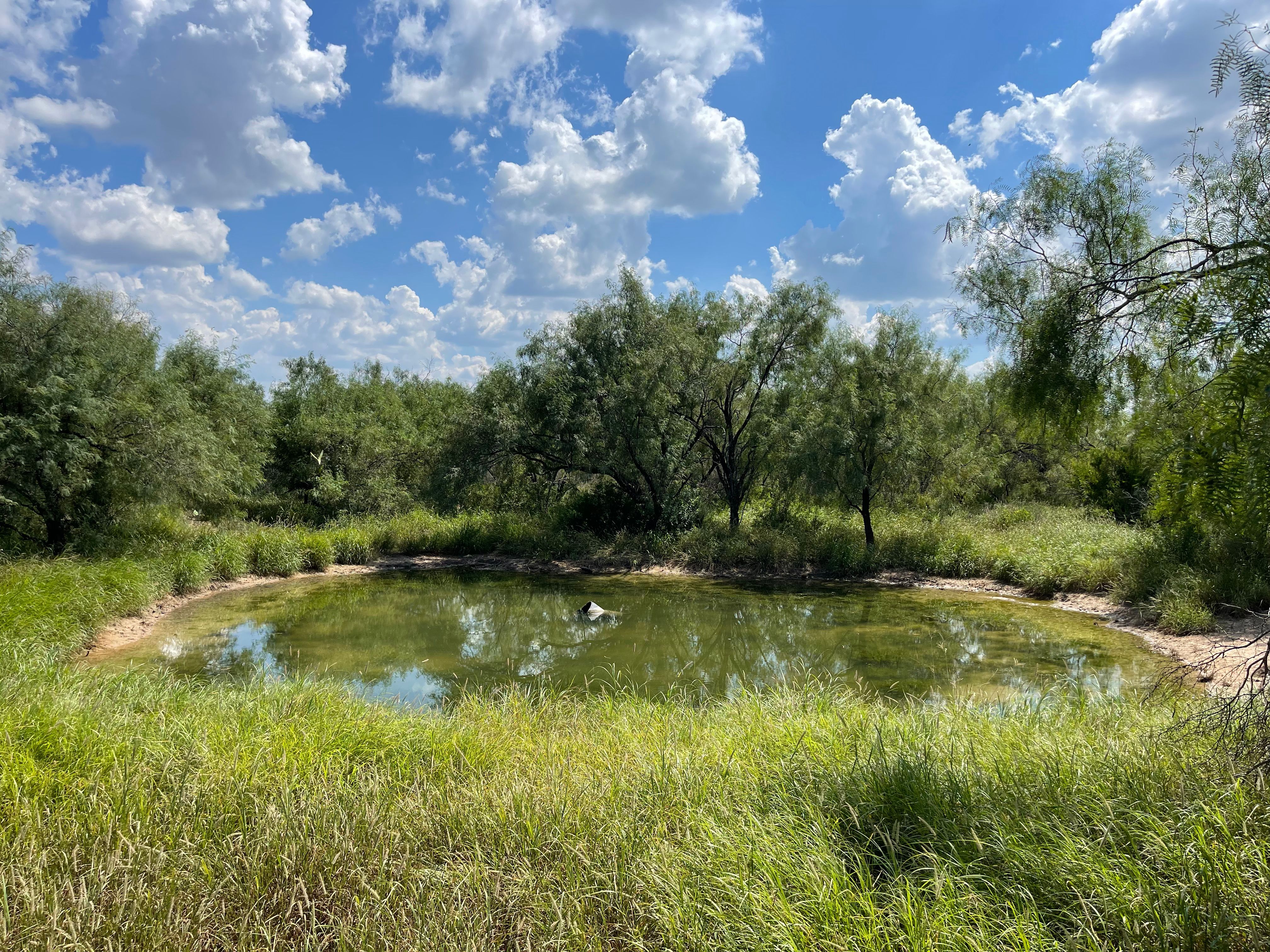  Historic El Tecomate Hunting Ranch - 物件實景