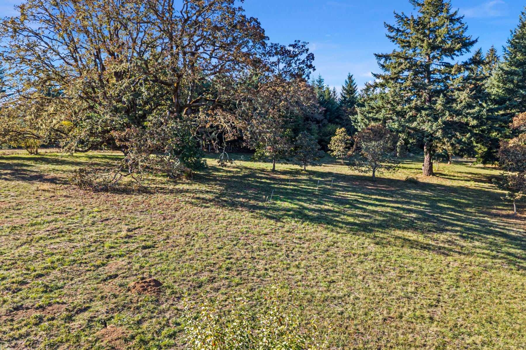  24027 HAWLEY CREEK RD Monroe, OR 97456 - 物件實景