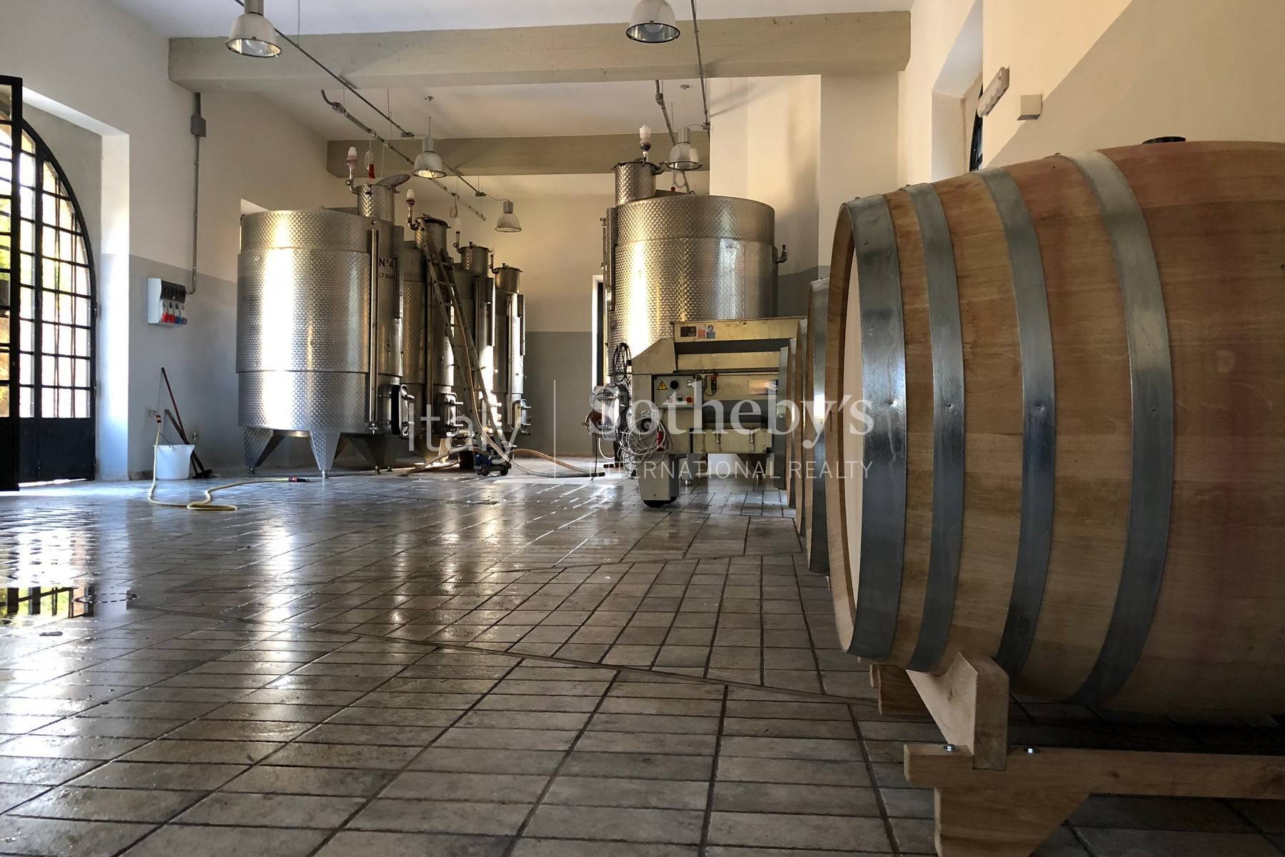  Fascinating property with vineyards and olive groves - 物件實景