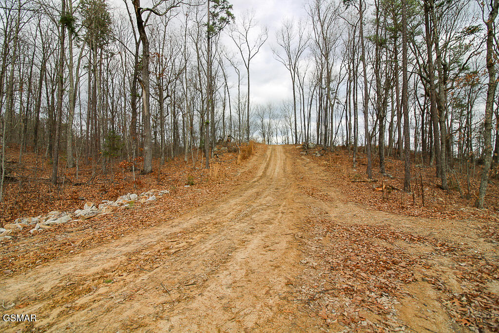 Sevierville, Tennessee, 37876, United States, ,Land,For Sale,2008093