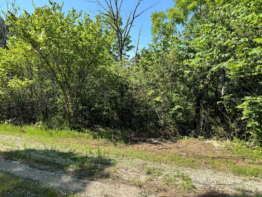 Somerset, Kentucky, 42501, United States, ,Residential,For Sale,1923151