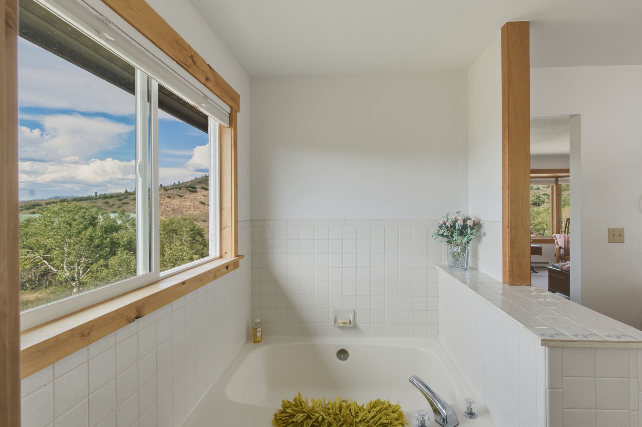  31230 Broken Talon Trail, Oak Creek, CO 80467 - 物件實景