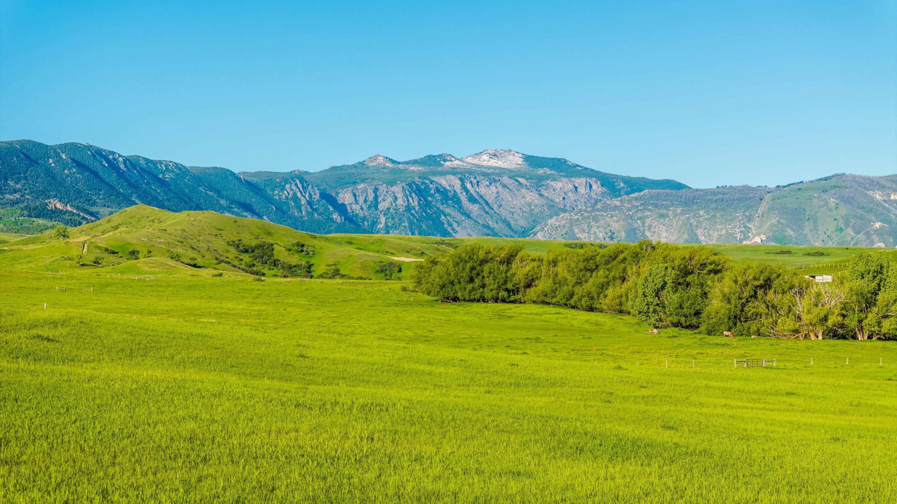 Big Horn, Wyoming, 82833, United States, ,Land,For Sale,2011311