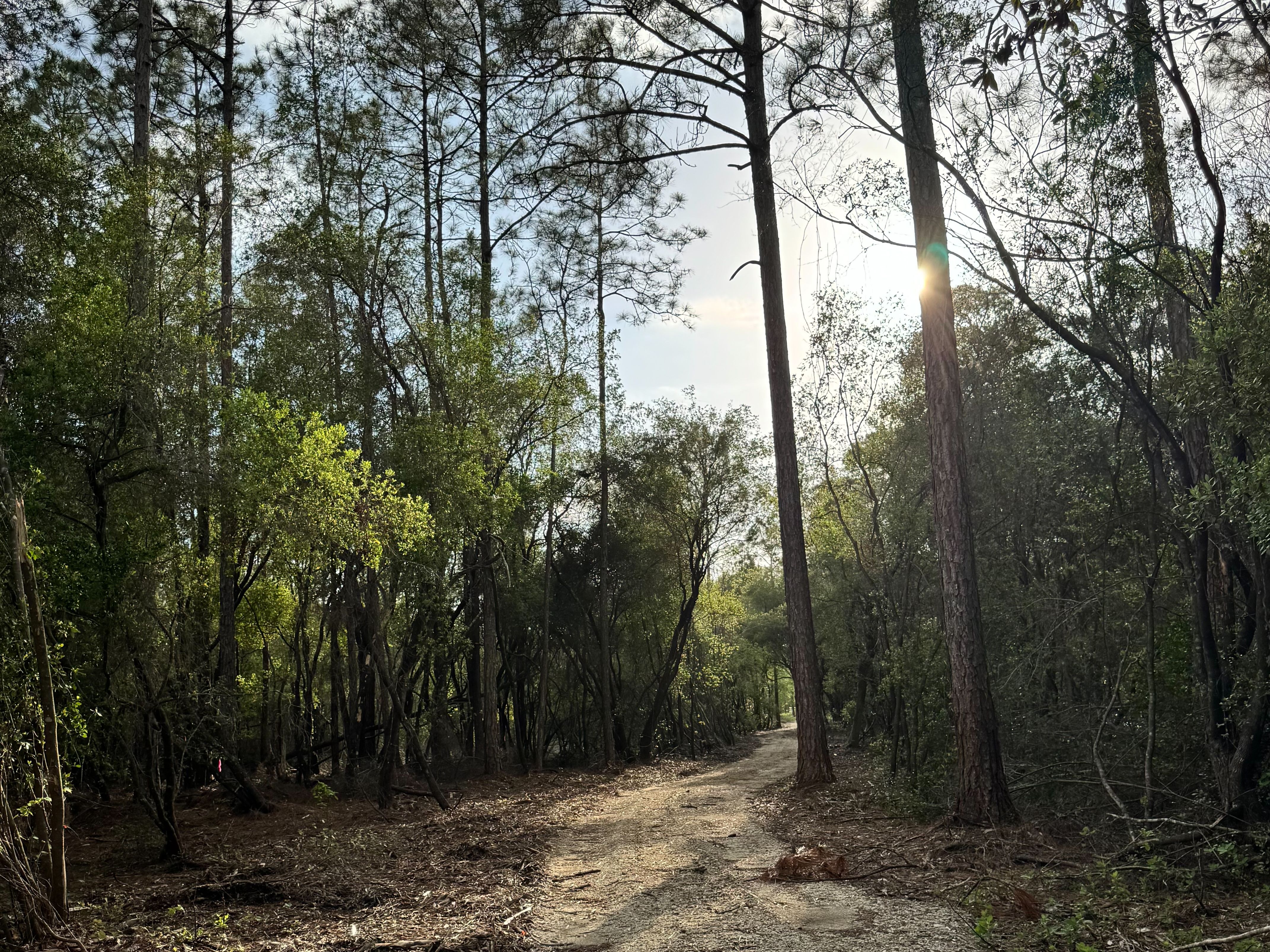  Creekside Estate Homesite  14.88 Acres - 物件實景
