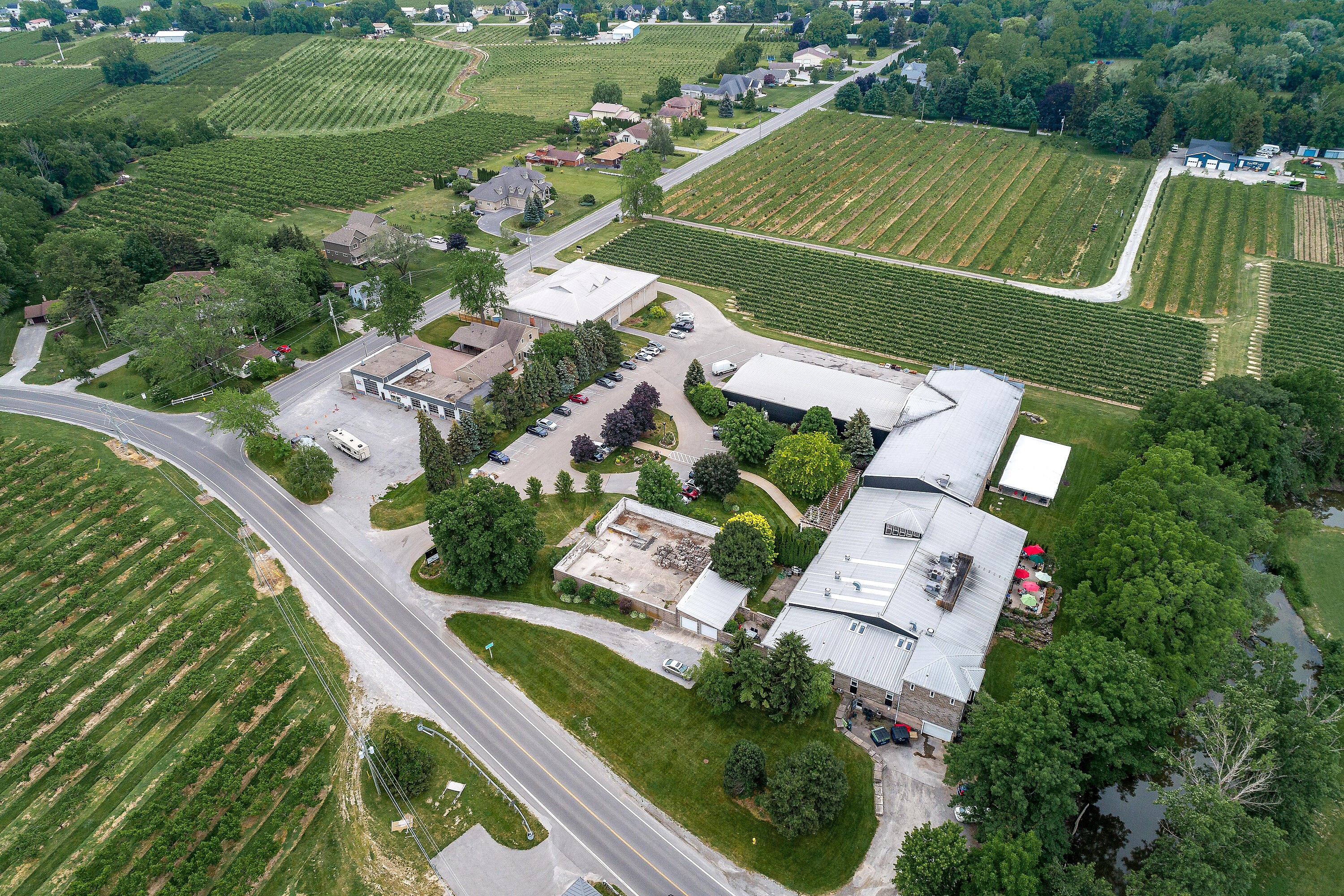  Picturesque Vineyard - 物件實景