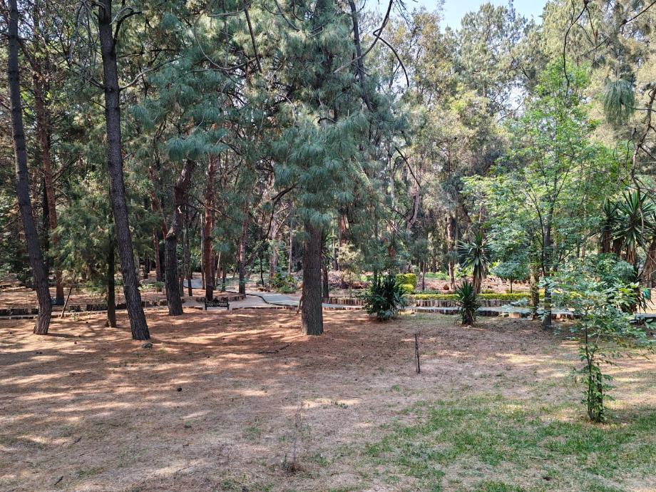 Tlalpan, Ciudad de México, 14608, Mexico, 4 Bedrooms Bedrooms, ,5 BathroomsBathrooms,Residential,For Sale,1738948