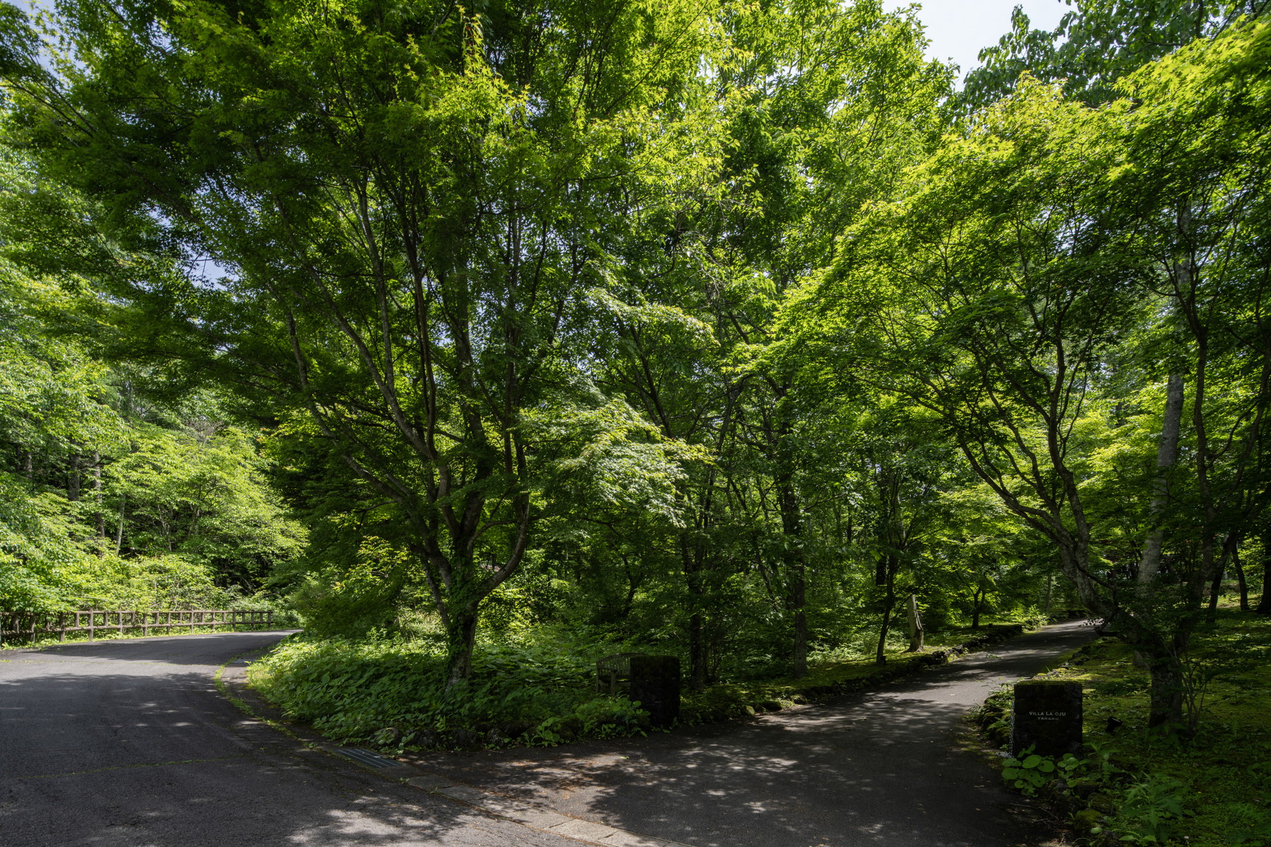  Blanchard Forest Estate Site - 物件實景