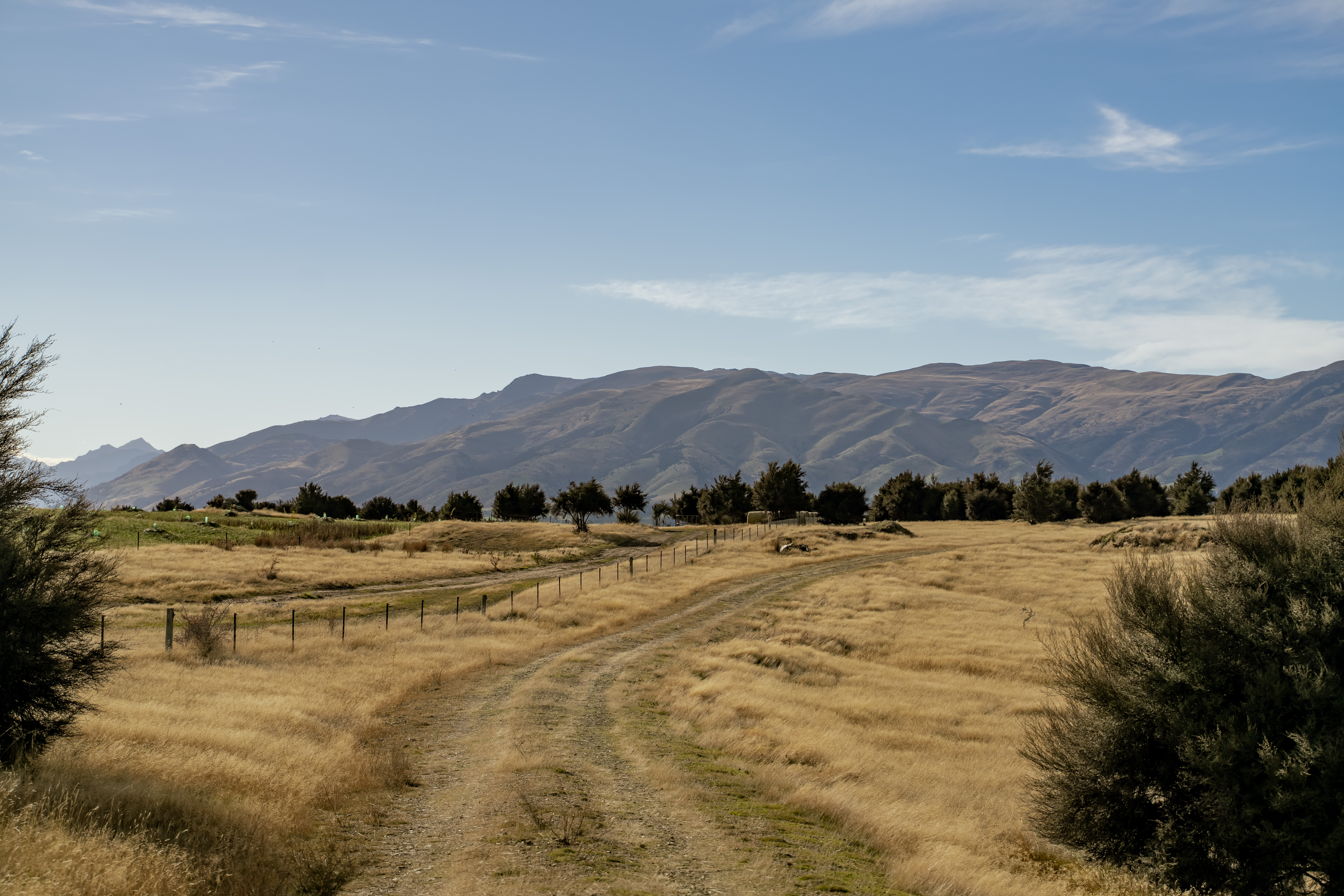  Paradise Found - 物件實景