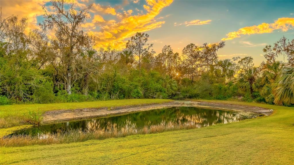 Parrish, Florida, 34219, United States, 4 Bedrooms Bedrooms, ,4 BathroomsBathrooms,Residential,For Sale,1960879