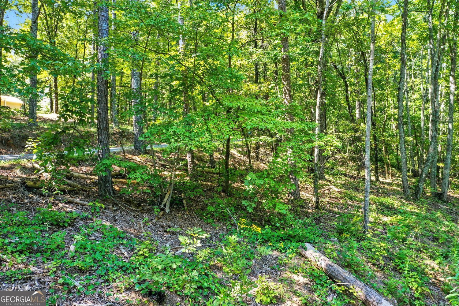 Waleska, Georgia, 30183, United States, ,Land,For Sale,1929808