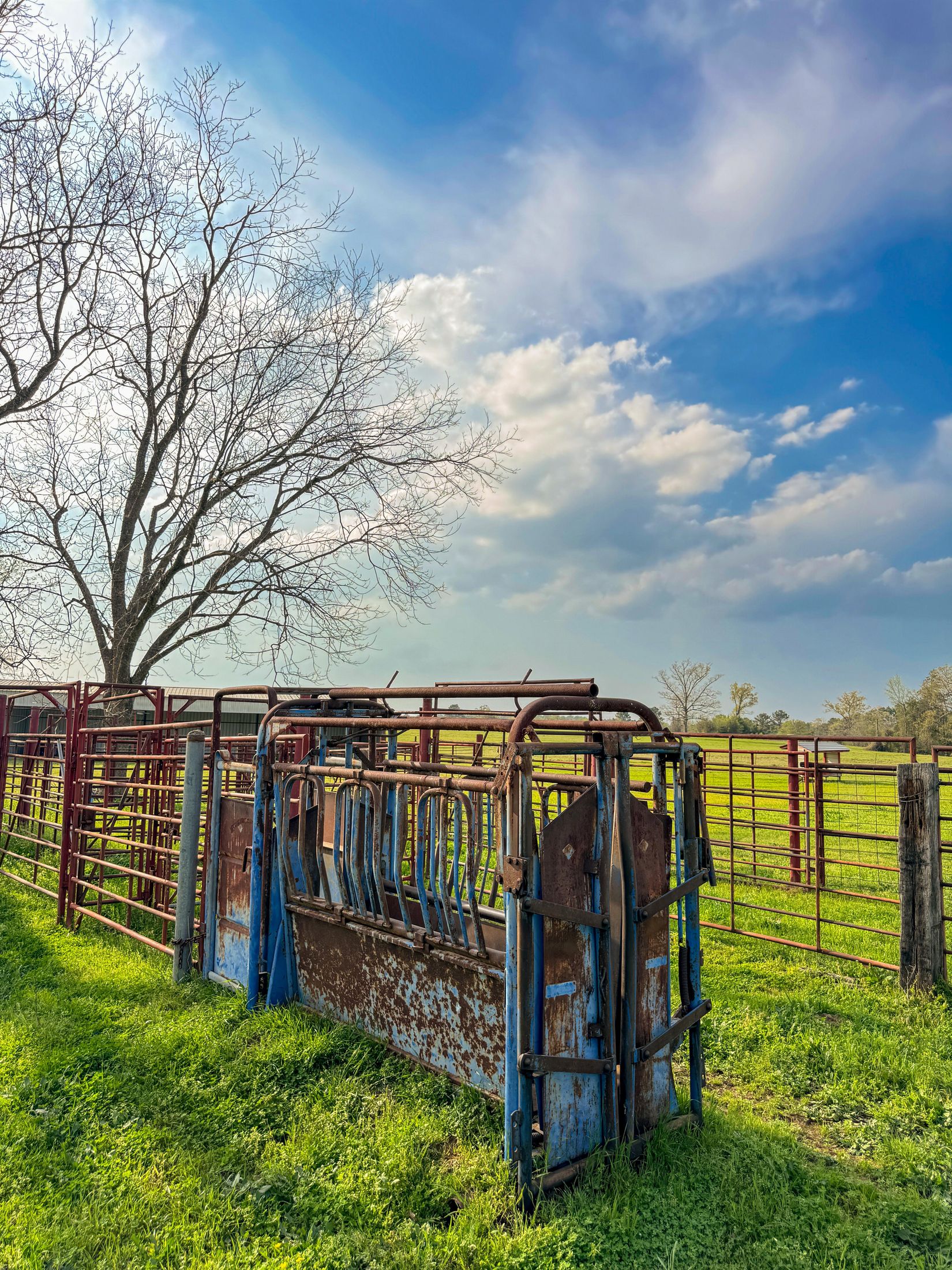 Bivins, Texas, 75555, United States, ,Residential,For Sale,1755933