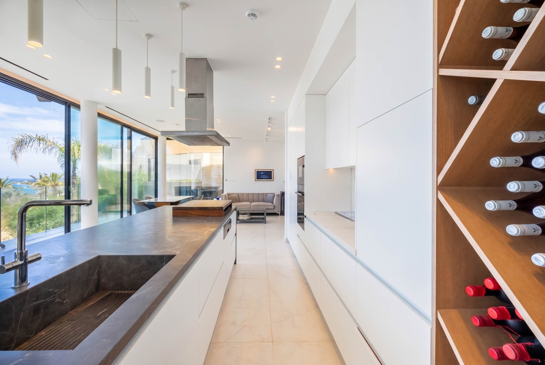  Four Bedroom Sea View Modern Villa with Private Pool in Pafos - 物件實景