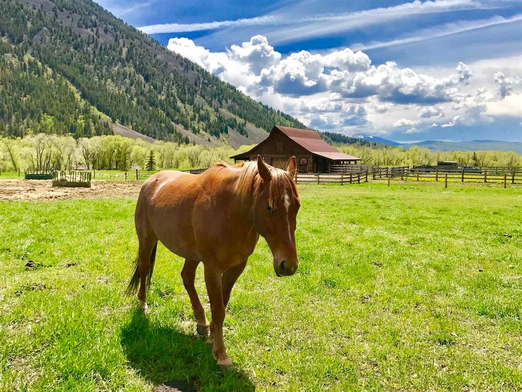 235 Lupine Dr., Crested Butte, Colorado, 81224, United States, ,Land,For Sale,235 Lupine Dr.,1431090