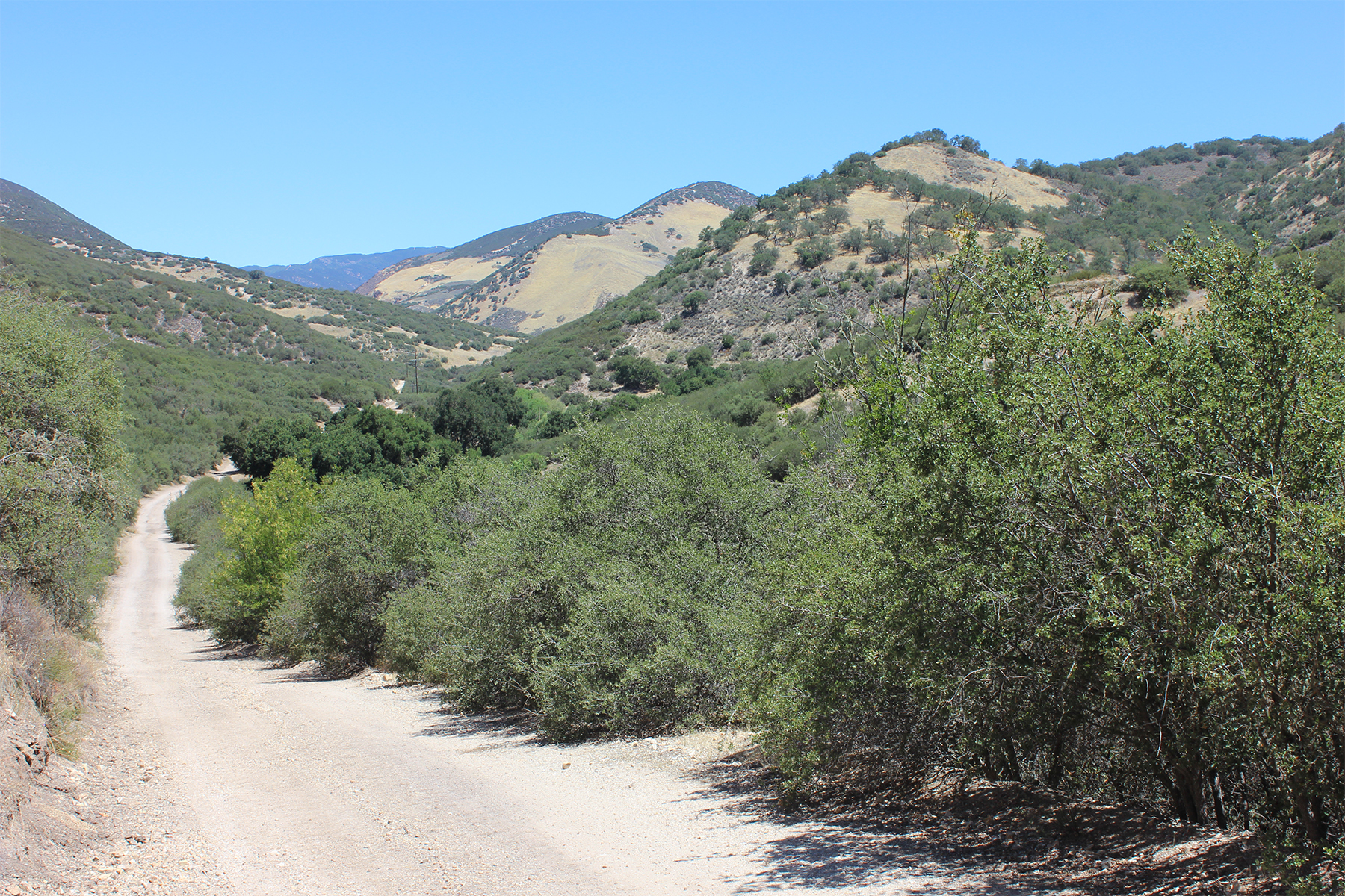  0 East Carmel Valley Road - 物件實景