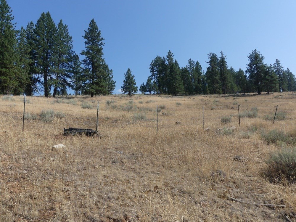 New Meadows, Idaho, 83654, United States, 3 Bedrooms Bedrooms, ,2 BathroomsBathrooms,Residential,For Sale,1810629