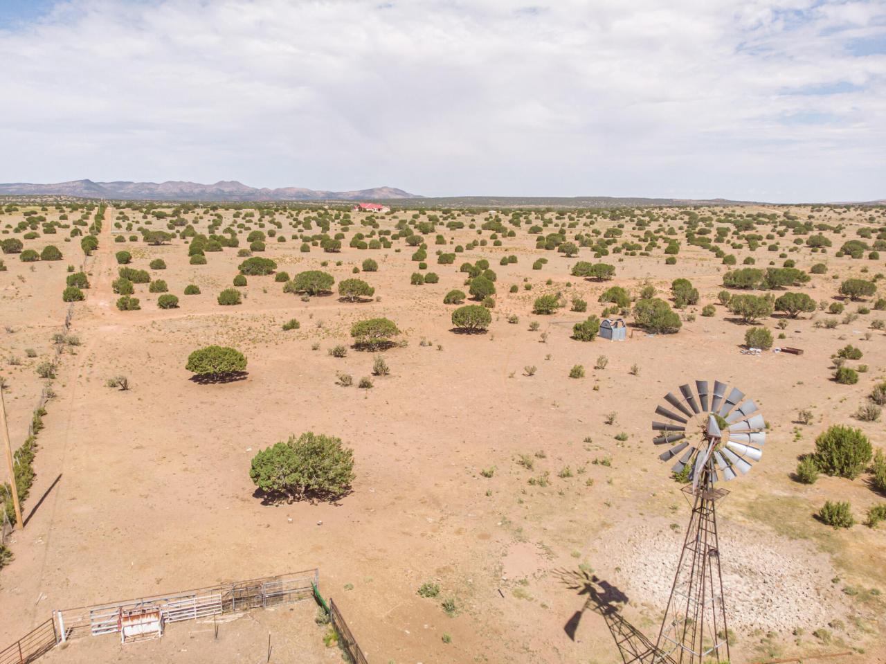 337 Scholle Road, Mountainair, New Mexico, 87036, United States, 3 Bedrooms Bedrooms, ,3 BathroomsBathrooms,Residential,For Sale,337 Scholle Road,1459491