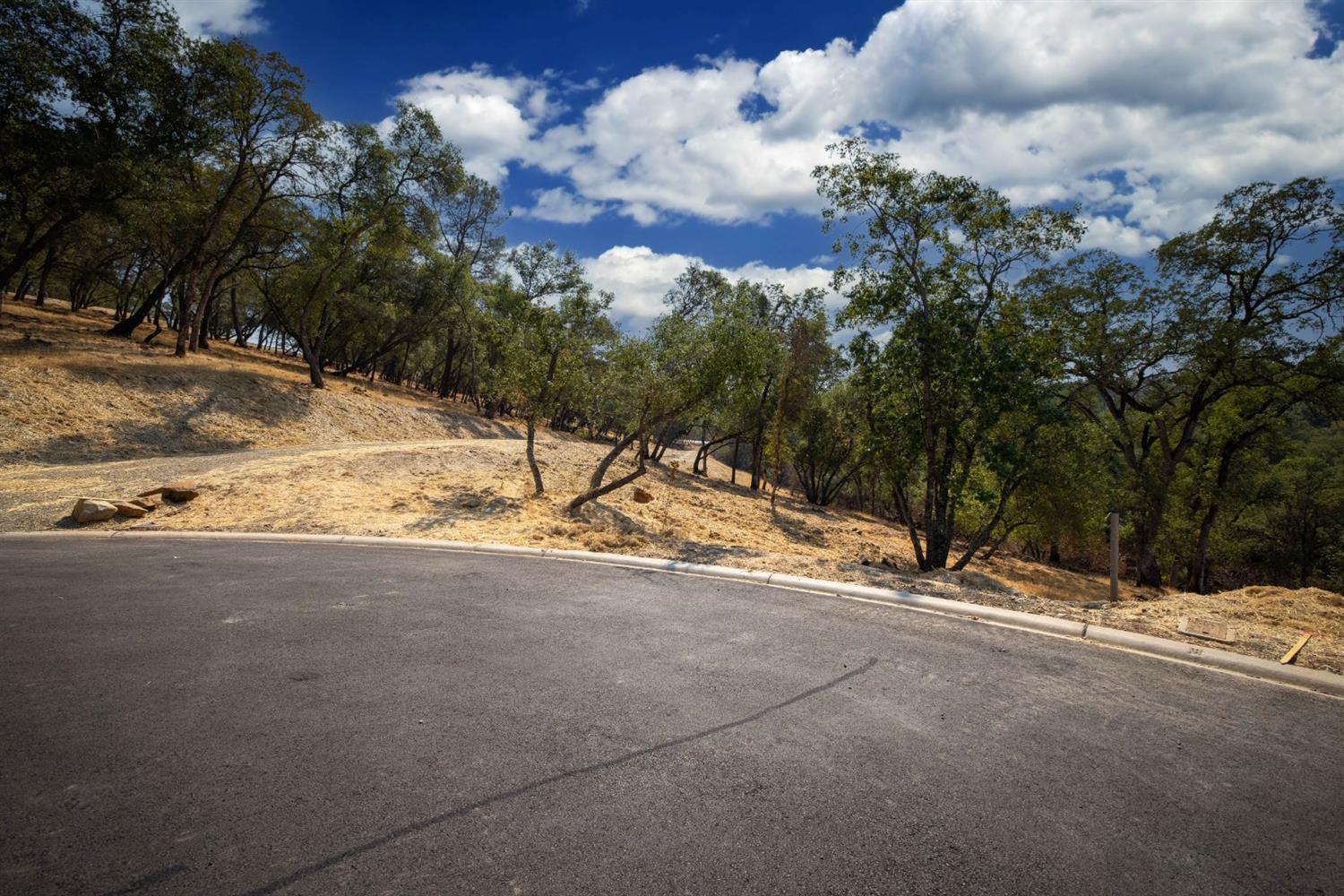 320 Raphael Court, El Dorado Hills, California, 95762, United States, ,Land,For Sale,320 Raphael Court,1643043