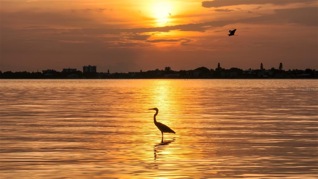 Sarasota, Florida, 34236, United States, 3 Bedrooms Bedrooms, ,5 BathroomsBathrooms,Residential,For Sale,2003430