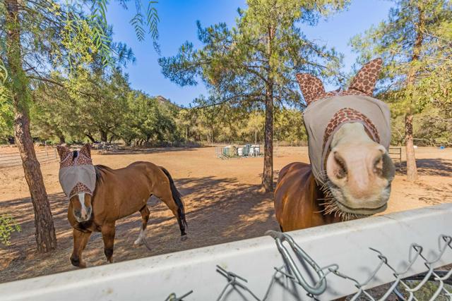 Ramona, California, 92065, United States, 4 Bedrooms Bedrooms, ,4 BathroomsBathrooms,Residential,For Sale,1985737