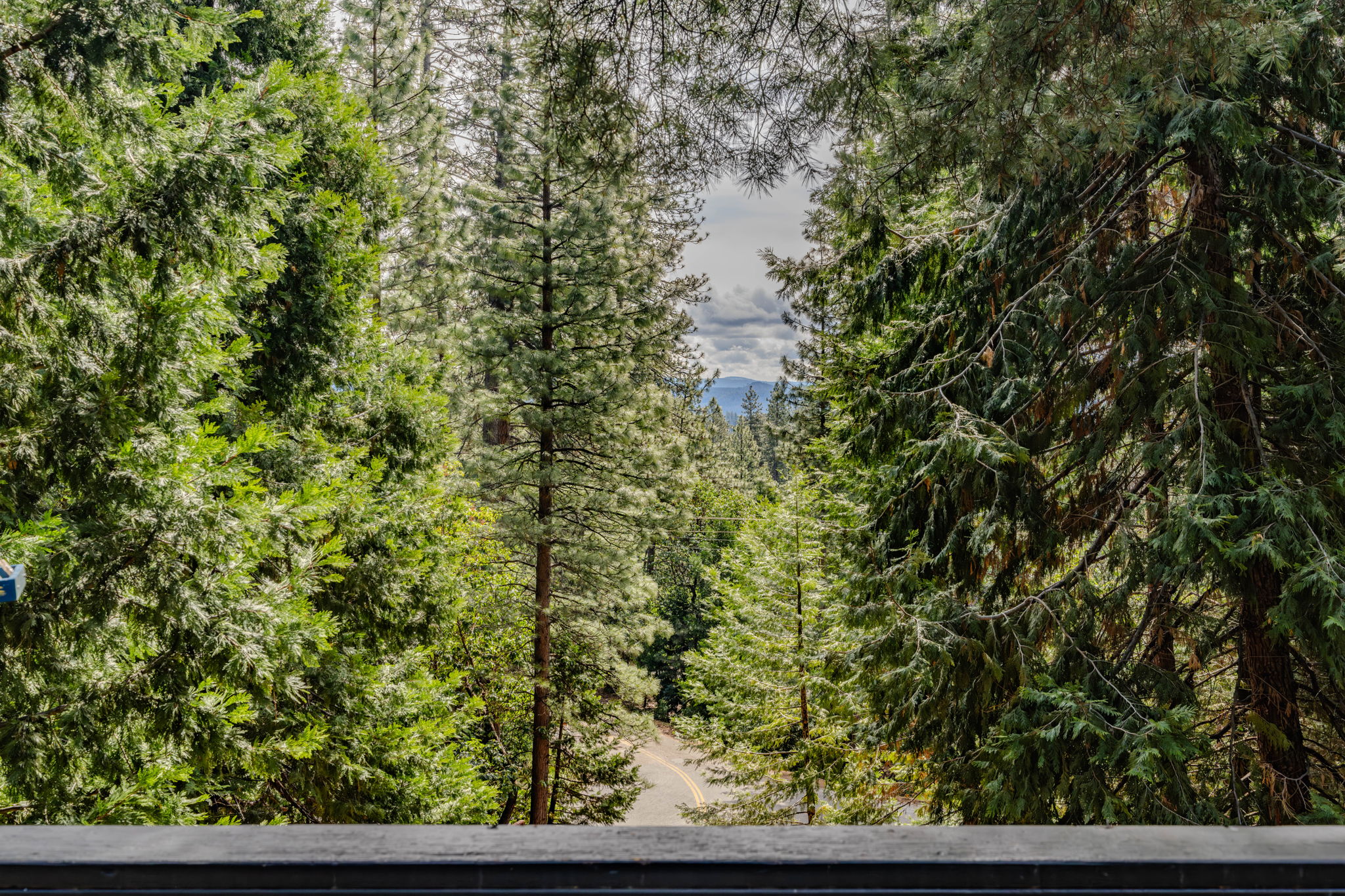  19021 Mace Drive, Pioneer, CA 95666 - 物件實景