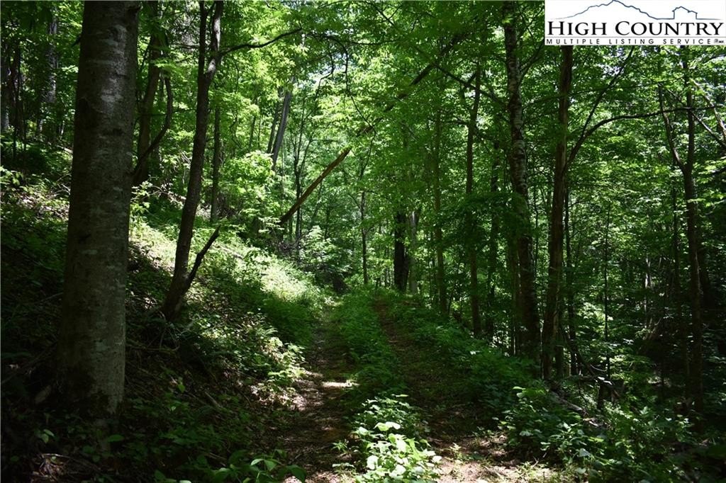 Warrensville, North Carolina, 28693, United States, ,Land,For Sale,1984173