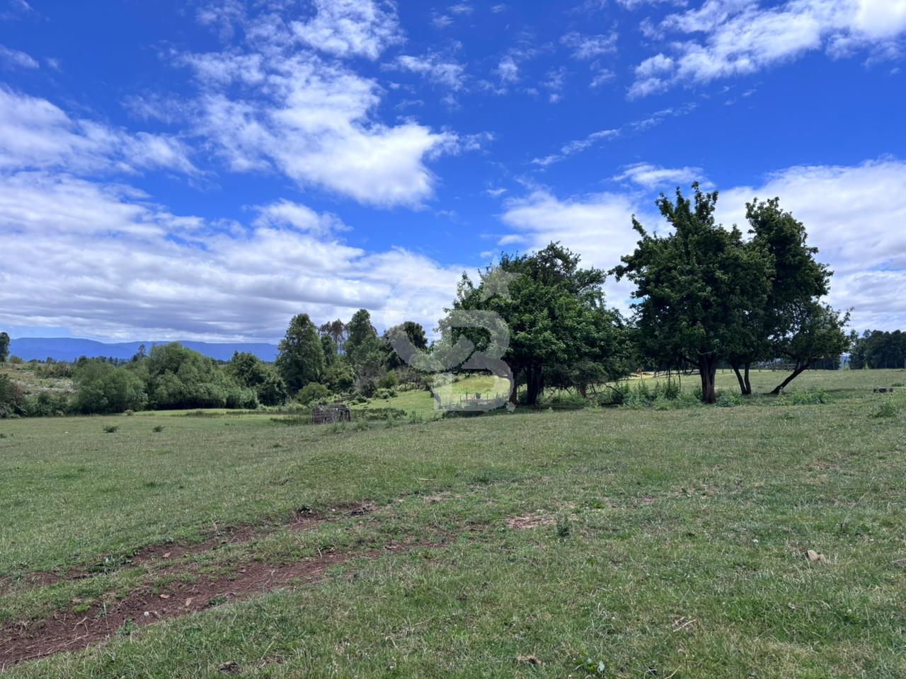 Fresia, Chile, ,Land,For Sale,2003048