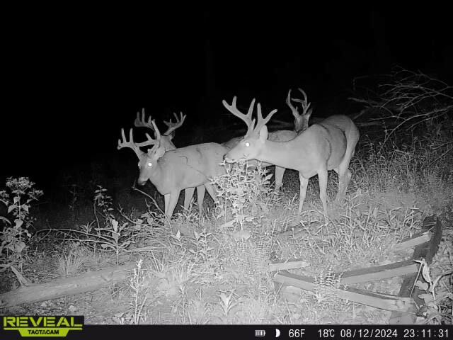 Boston, Kentucky, 40107, United States, 3 Bedrooms Bedrooms, ,2 BathroomsBathrooms,Residential,For Sale,1989069