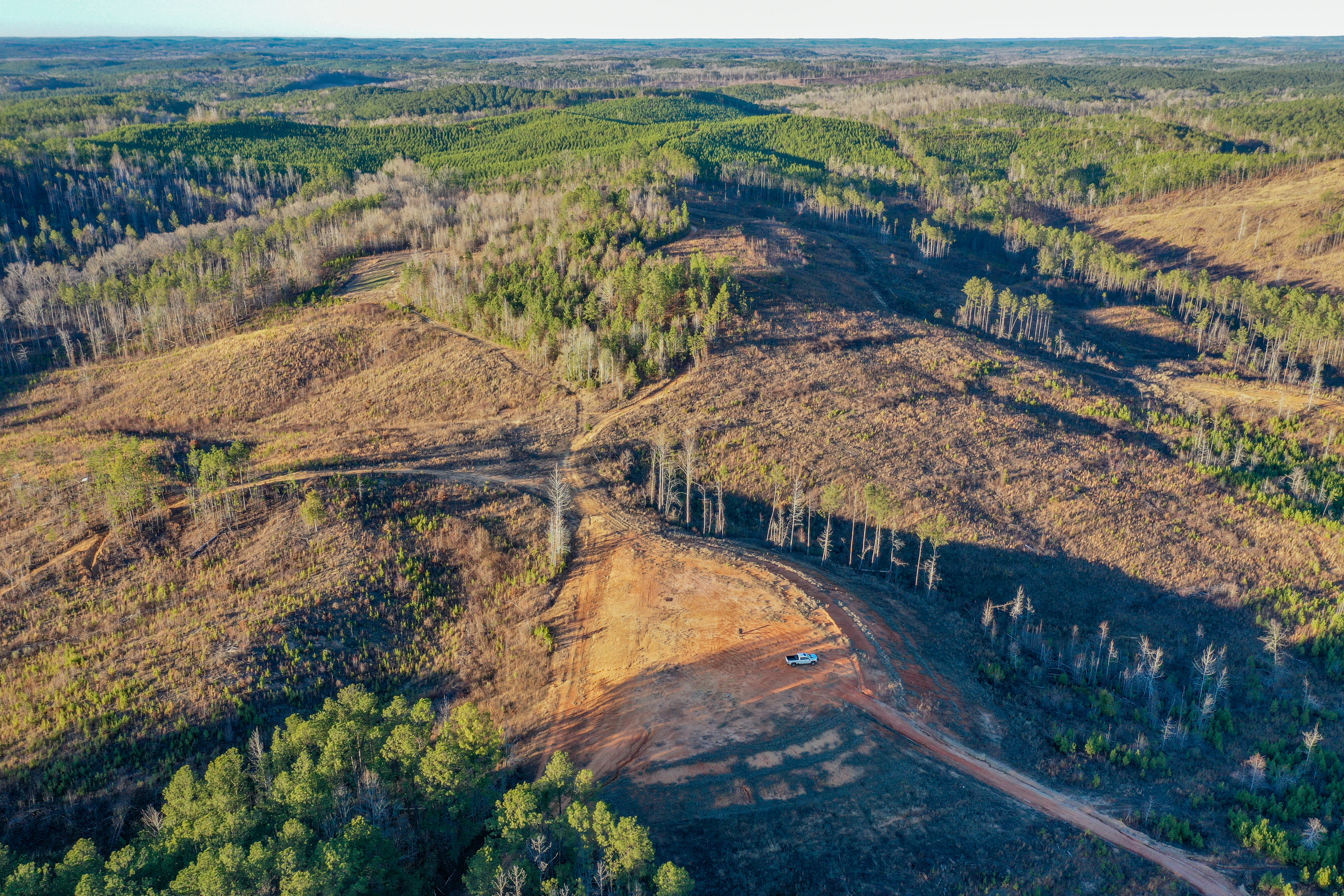 Centreville, Alabama, 35042, United States, ,Land,For Sale,2010430